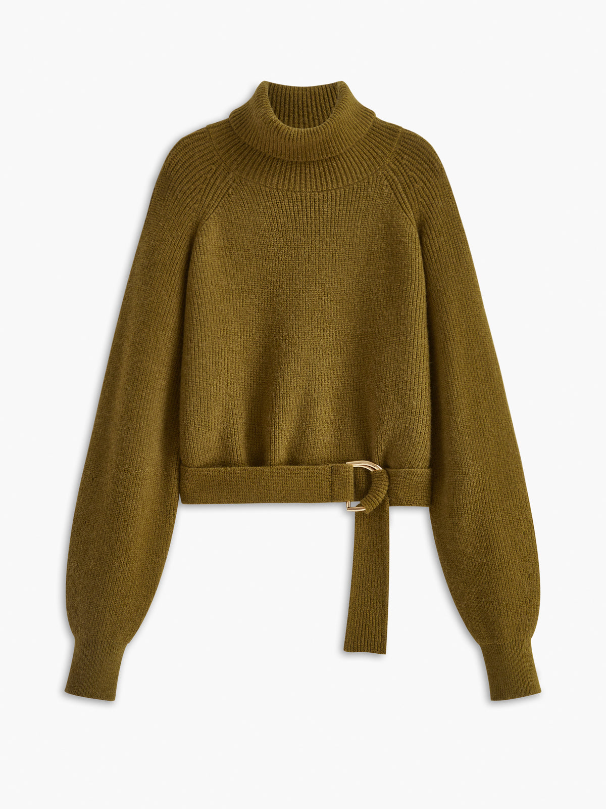 Turtleneck Belted Cozy Sweater 